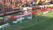 Los Goles del: Tigres vs Chivas (2-2)