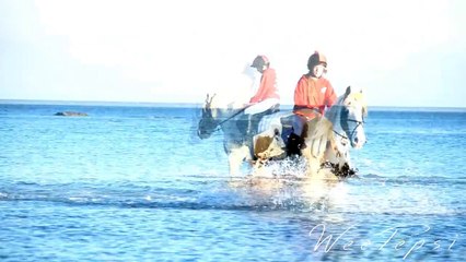 The Kiss Of Death Will Have To Wait [300]