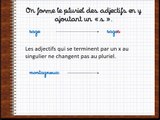 le pluriel des adjectifs