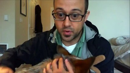 My Dog Edie Alone All Day At Home