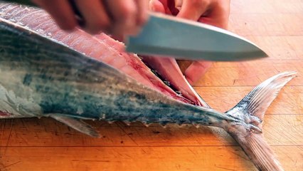 Tuna Butchery