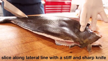 Filleting a Halibut plus skinning and removing cheek