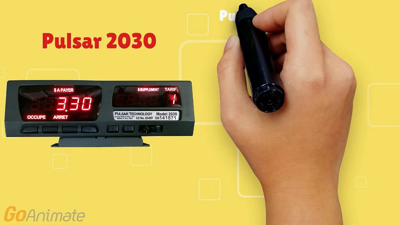 Pulsar 2030