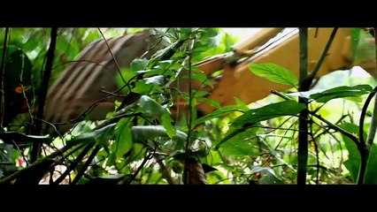 THE GREEN INFERNO - Bande-annonce