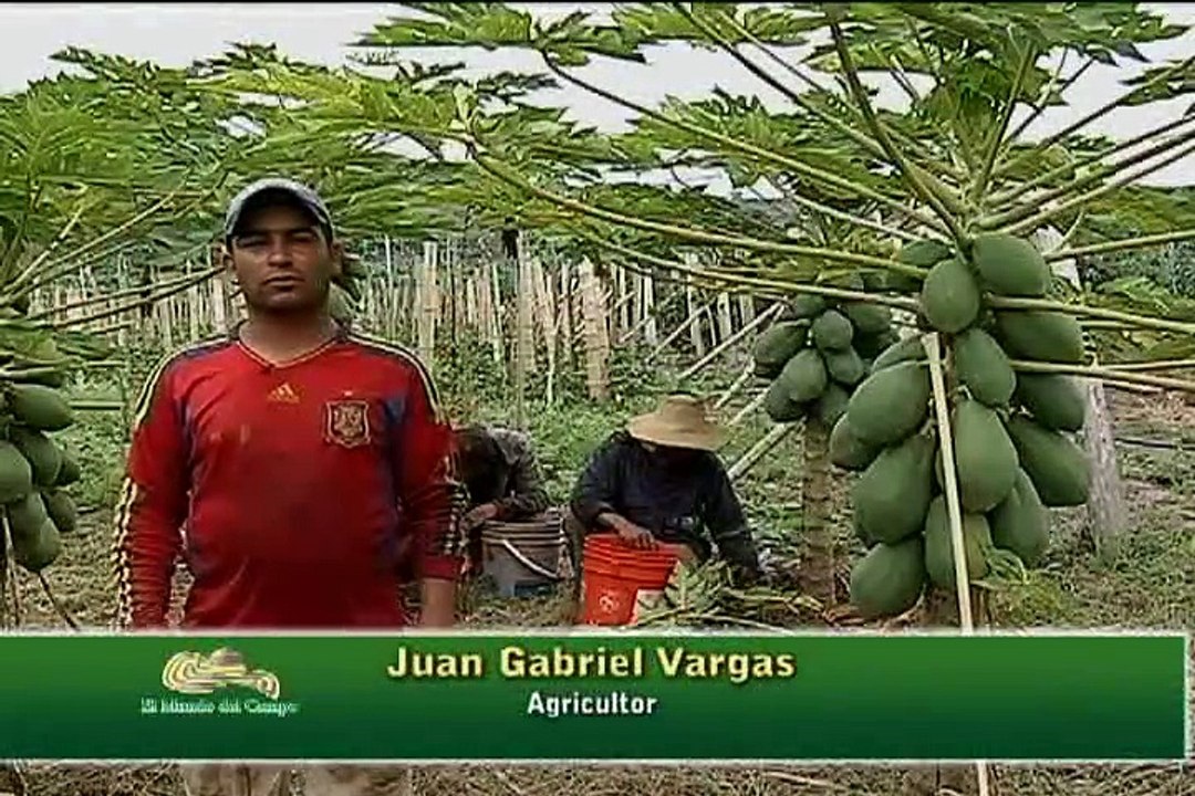 8 de agosto de 2015 Tarqui