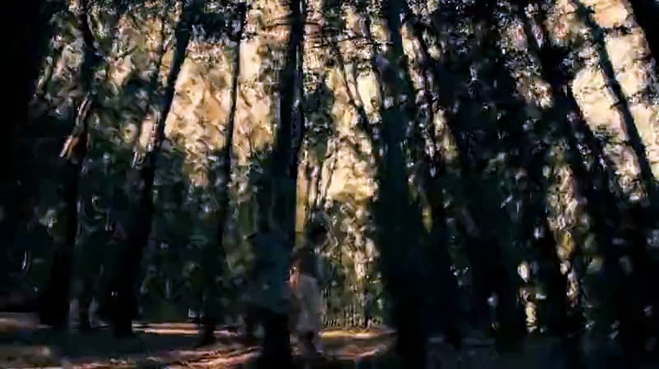 LES LETTRES PORTUGAISES - Bande-annonce