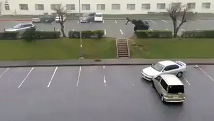 ہوا کی طاقت اندازہ لگائیے ... ایک کار کاغذ کے ٹکڑے کی طرح کس