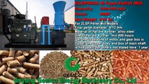 Make Wood Pellets and Biomass Pellet Mill For Sale