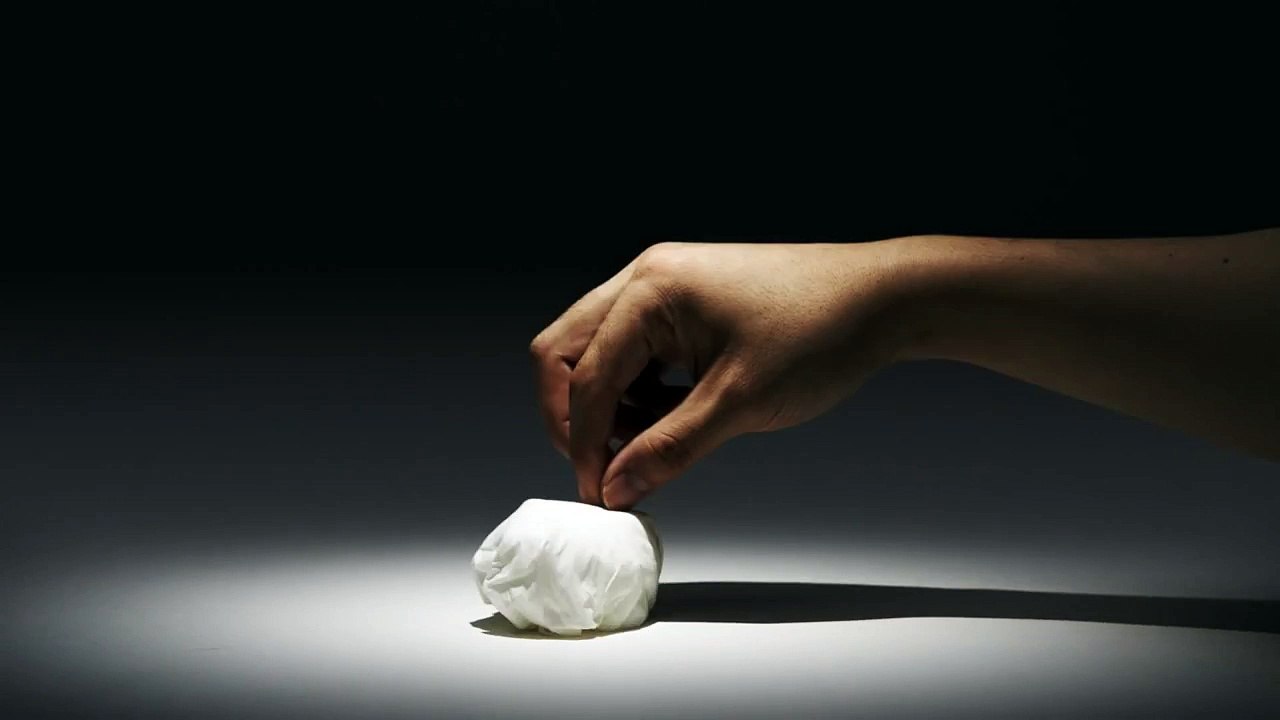 Insolite : ces mouchoirs en papier deviennent des animaux