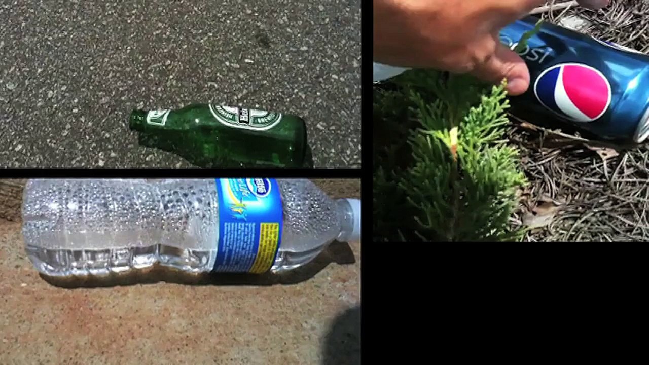 How to Live Green in Atlanta, Georgia - Fighting Environmental Crime