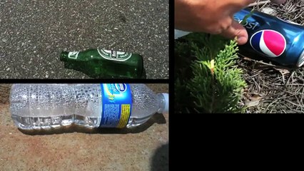 How to Live Green in Atlanta, Georgia - Fighting Environmental Crime