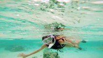 Snorkeling in Moorea with black tip reef sharks - GoPro Hero4  December 2014