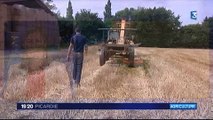 20150807-F3Pic-19-20-Oise-Jeunes Agriculteurs et le manque de terres agricoles