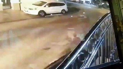 Kepala lembu berdarah  di pagar rumah ADUN DAP