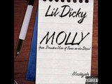 Lil Dicky - Molly (feat. Brendon Urie of Panic at the Disco) [Mozilajake Artwork]