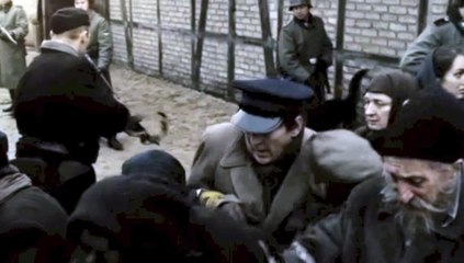 El valiente corazón de Irena Sandler (2009) vose 2/2