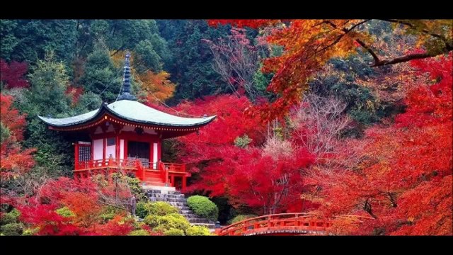 Les plus beaux endroits du monde