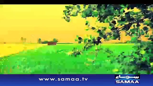Subah Saverey Samaa Kay Saath, 11 August 2015 Samaa Tv