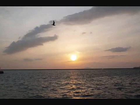 Mahler : Symphony No. 2 in C Minor, Resurrection : I. Allegro maestoso