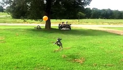 Rose plays with a balloon - best video