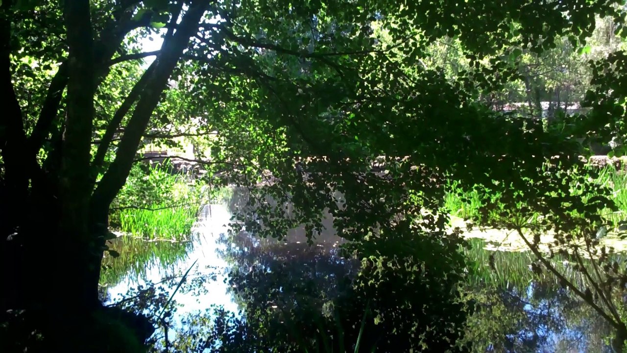 ALLARIZ   RIO ARNOIA  HD  MUSICA  BOLEROS