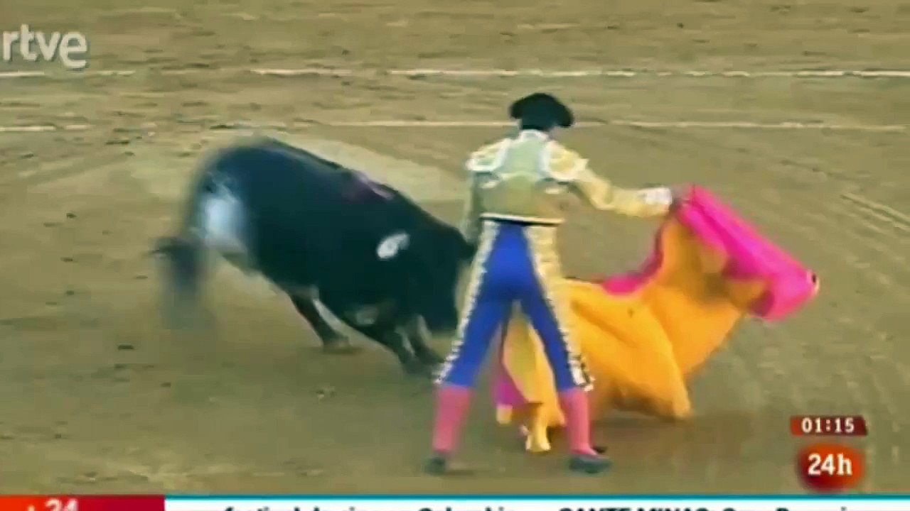 Ce taureau remporte la corrida, le torero dans un état grave