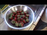 Cannabis Infused Strawberries by Doctor Diane