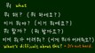 Basic Korean Classic 06 - what, who, when, where, how, why...