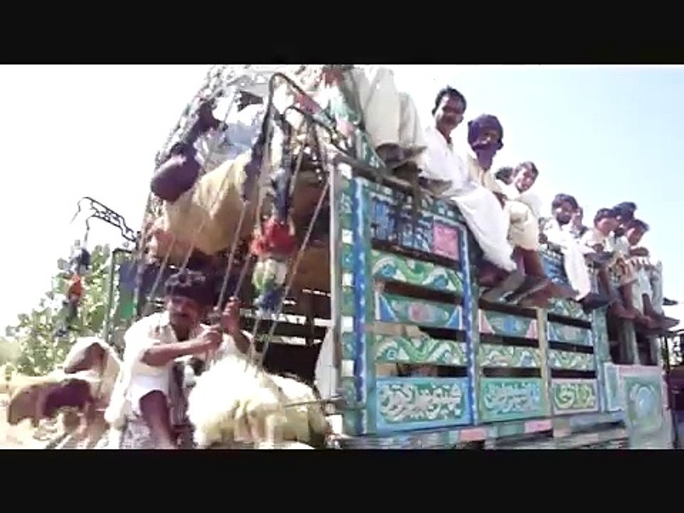 Thar desert Sindh, Pakistan