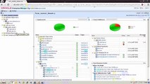 Monitoring Oracle SOA Suite with Oracle Enterprise Manager