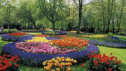 Big Fun Level 3 Unit 1 Amazing Nature