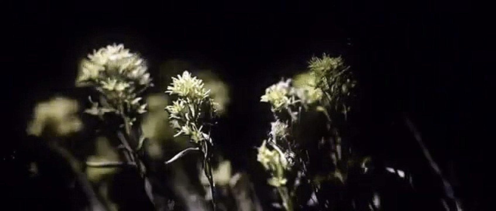Amazing Lighting Effects
