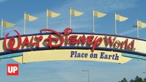 Disney Makes Workers Train Foreign Replacements: theDESK