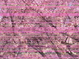 the journey lea salonga