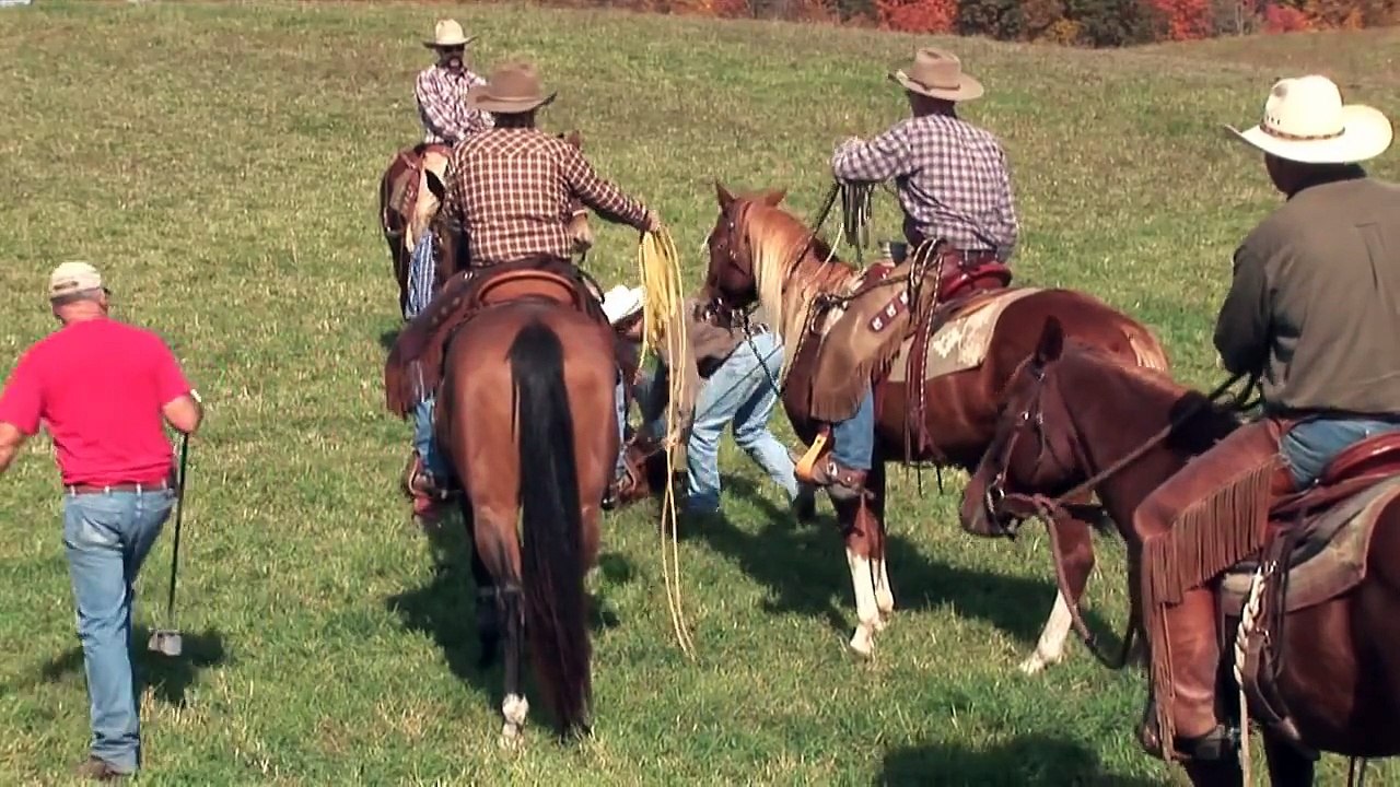 Cattle Branding with Circle B Ranch