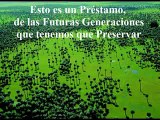 3 Pueblos Originarios Indígenas Aislados en Perú y Brasil Un Derecho 26 8 13
