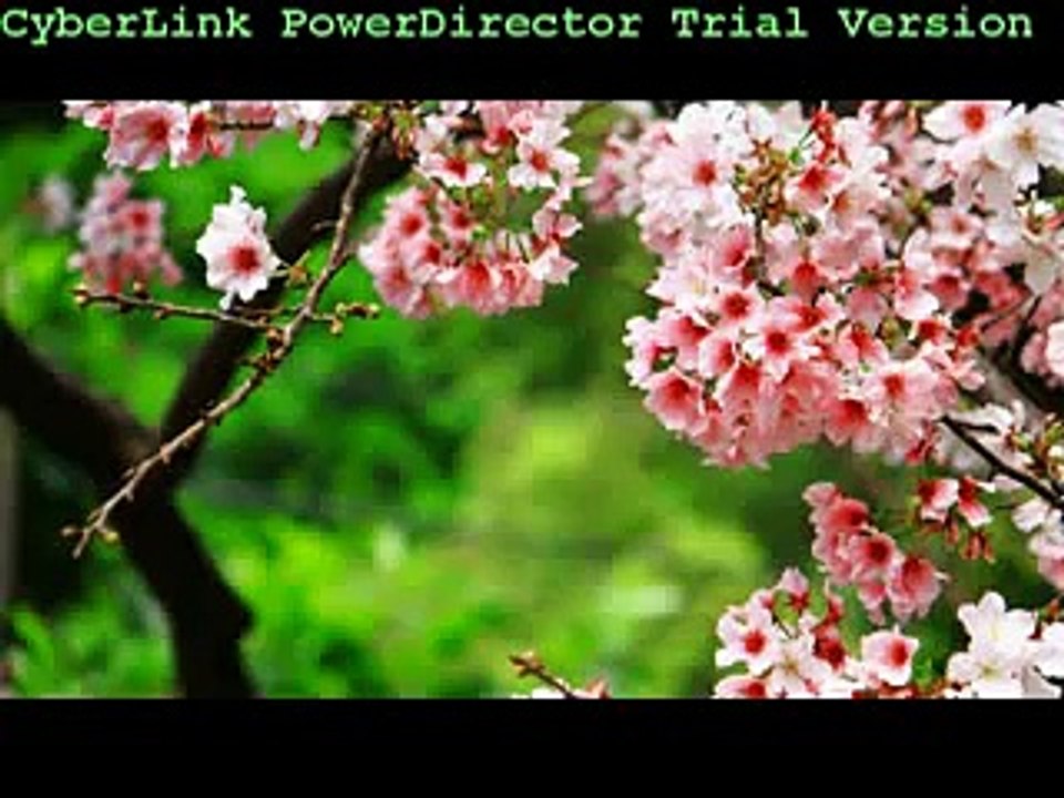Pak Army videosnpmake.com