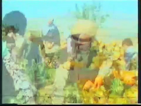 Türkiye Ankara Kalecik Gökçeören Köyü 1