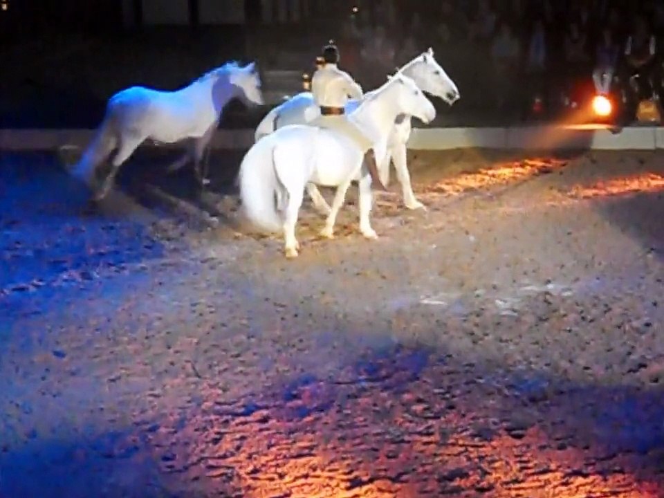 Apassionata 2o11 - Freiheitsdressur mit 10 Pferden