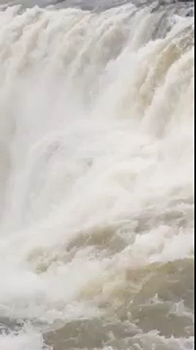 Vertical Video Test