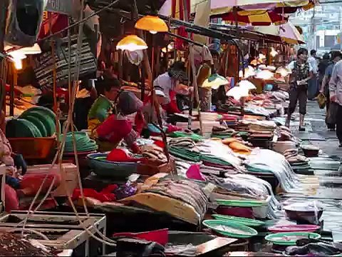Visions of Korea: Busan 부산 Pusan - Haeundae Beach 해운대, Fish Market, KTX Bullet Train