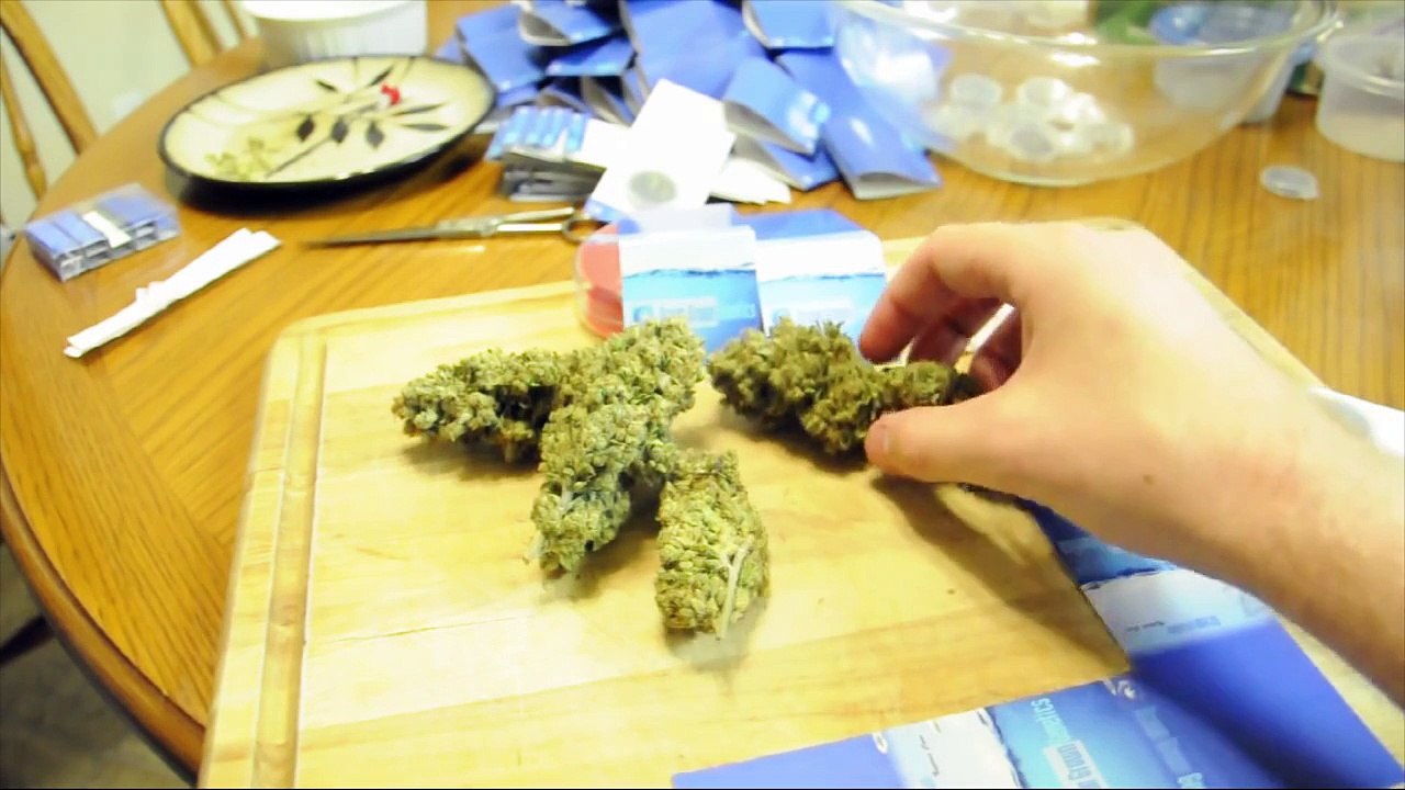 VaderVision - Popping Old Marijuana Seeds with GA3