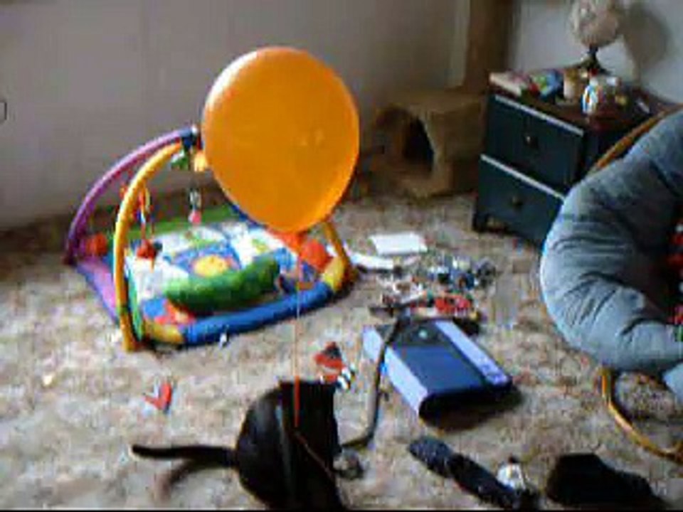 Sissy Cat vs Balloon