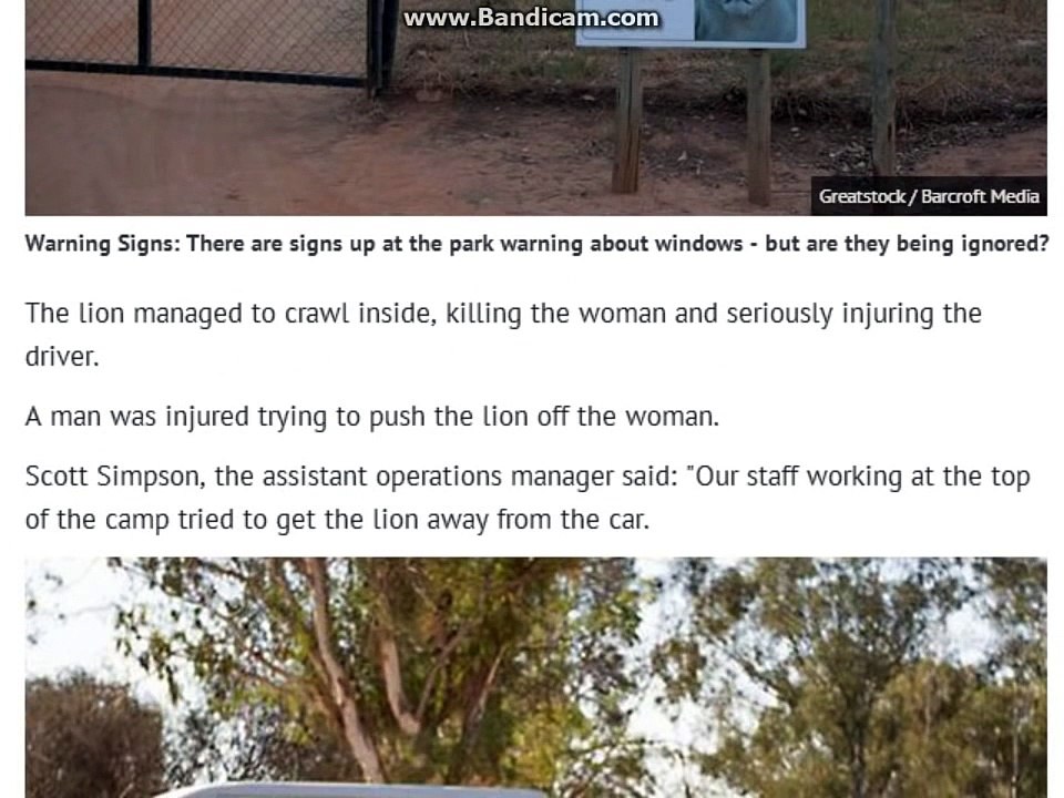 South Africa Lion Park attack: First picture of the car tourist was dragged from and killed