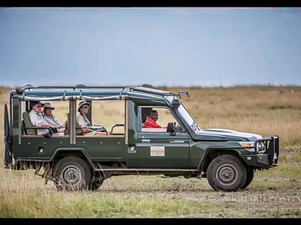 Lions Attack Tourist Car In Lion Park Johannesburg - South Africa