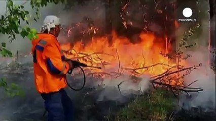 Los incendios y la sequía "devoran" la taiga rusa