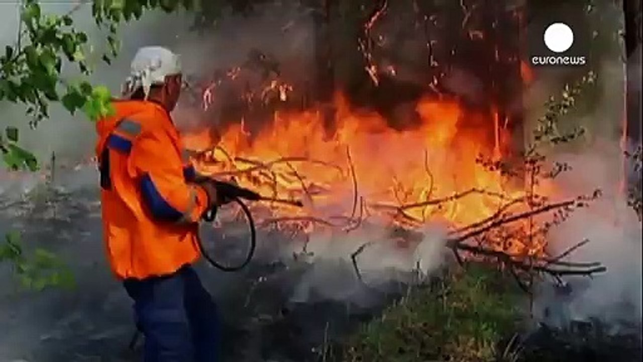 Los incendios y la sequía "devoran" la taiga rusa