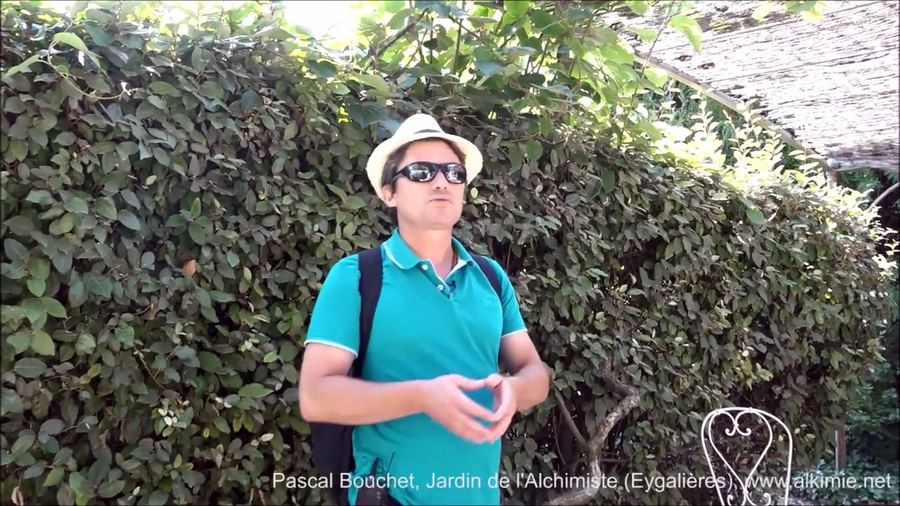 Visite du Jardin de l'Alchimiste Par Pascal Bouchet 1 :  La  1ère matiere et son esprit dans la mystique