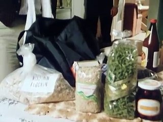 Polizeiinspektion 1 - Der Parasit