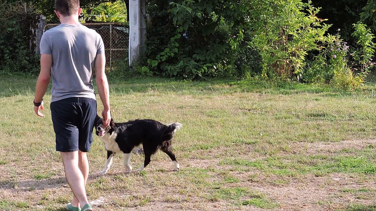 FETCH 5 ANS  01
